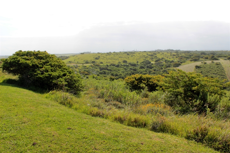 0 Bedroom Property for Sale in Khamanga Bay Eastern Cape